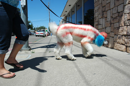 Štát teton wyoming verejné záznamy